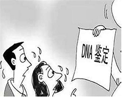 广东司法亲子鉴定如何办理，广东专业的司法亲子鉴定机构