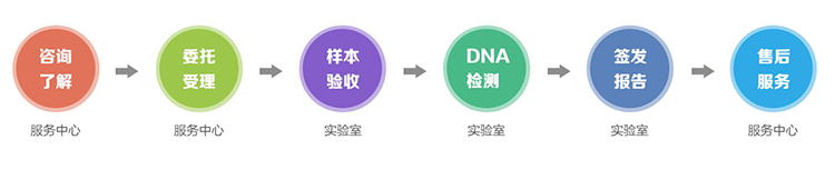 广东隐私亲子鉴定流程